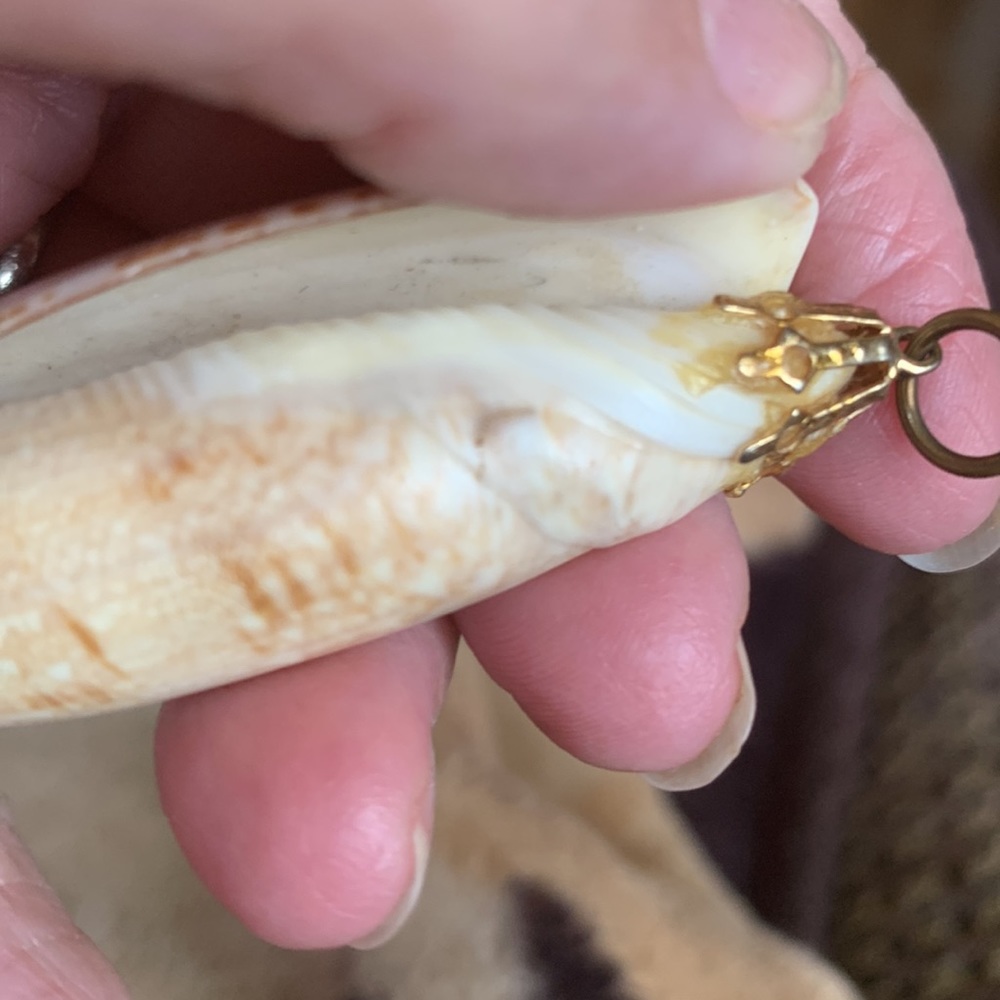 Shell Pendant 3” - Picture 2 of 6